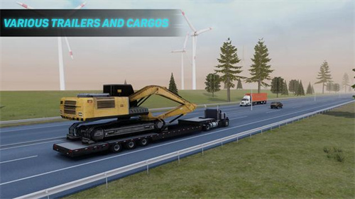 truck driver: heavy cargo