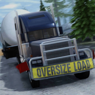 truck driver: heavy cargo
