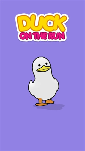 duck on the run