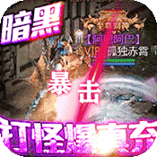 热血暗黑(无限爆真充)